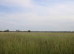50 acres in Taylor County