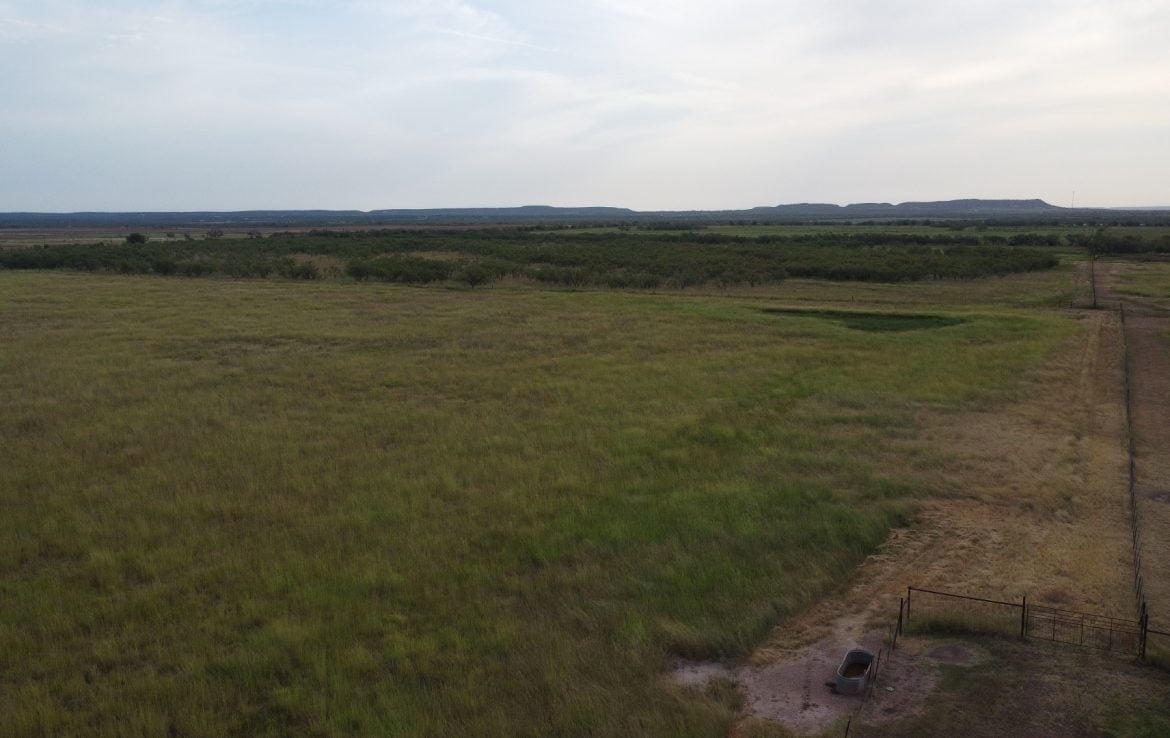 50 acres in Taylor County