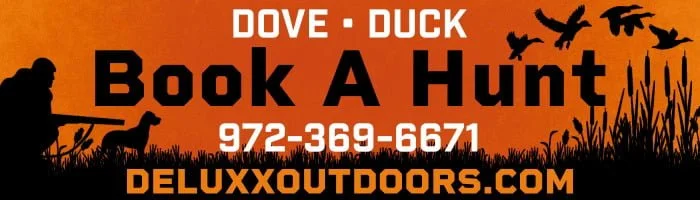 Texas Dove Hunting