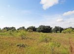 28 acres in Eastland County