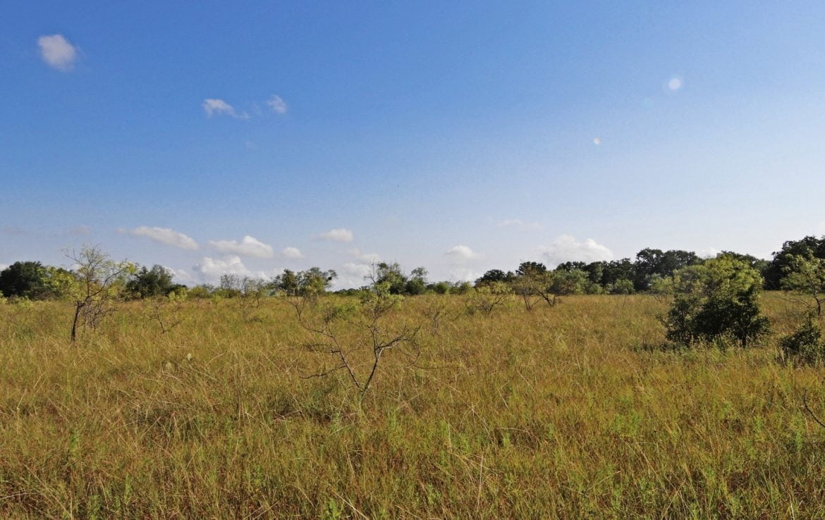 28 acres in Eastland County