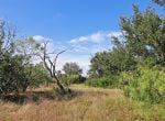 28 acres in Eastland County