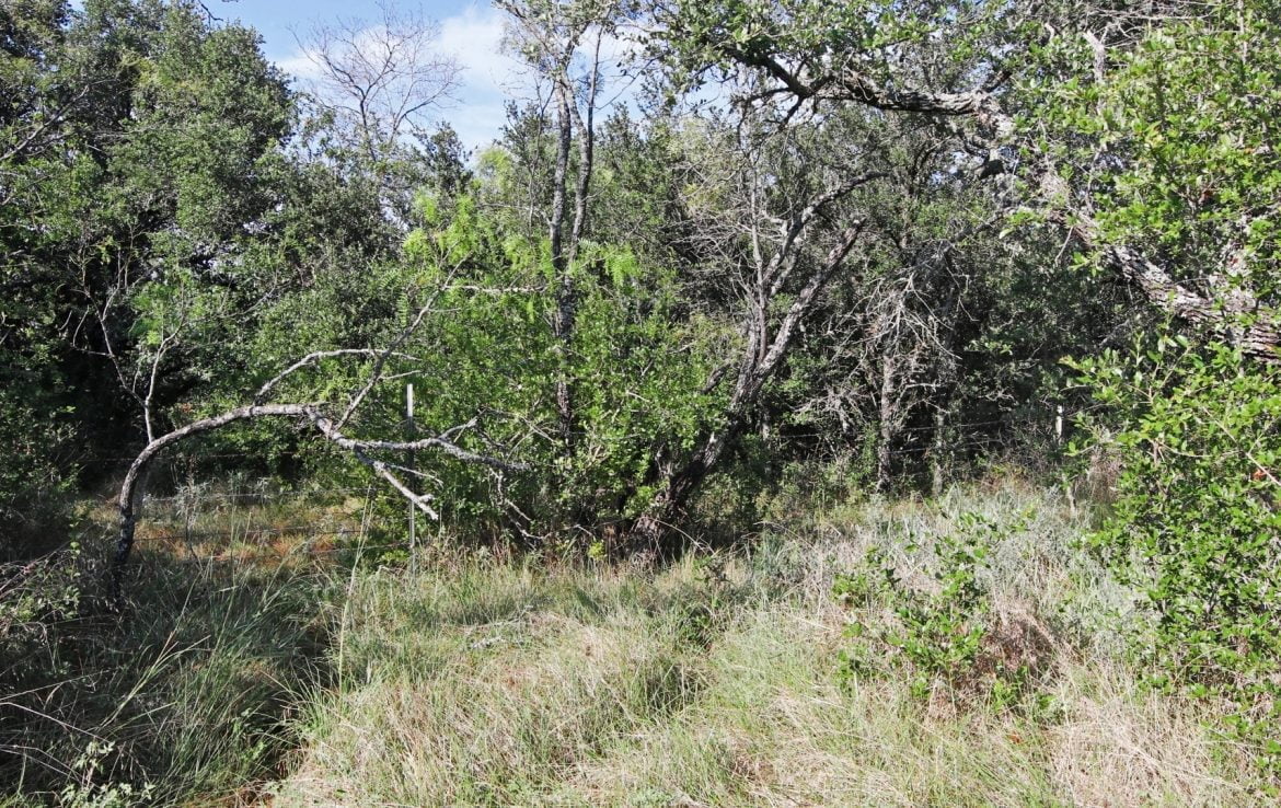 28 acres in Eastland County