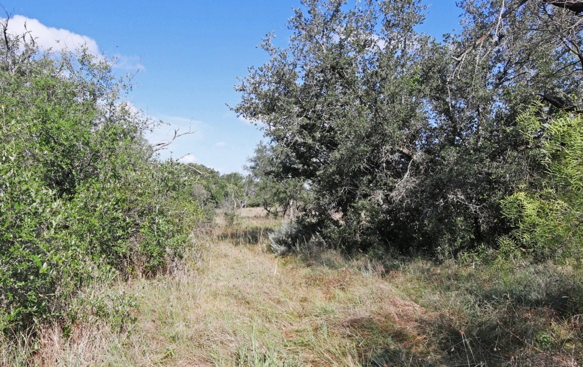 28 acres in Eastland County