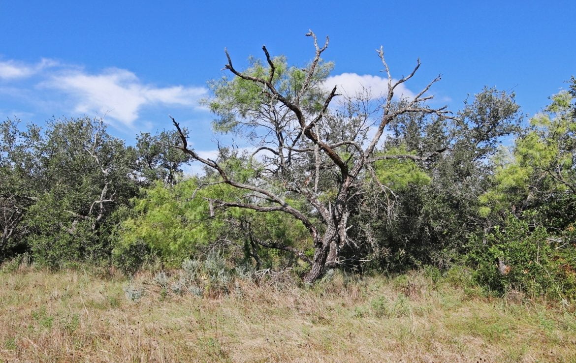 28 acres in Eastland County