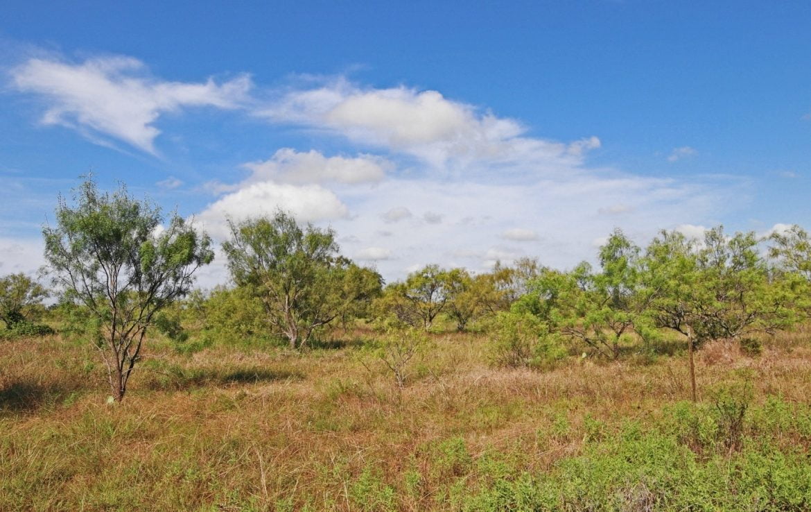 28 acres in Eastland County