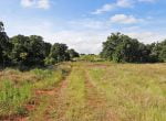 28 acres in Eastland County