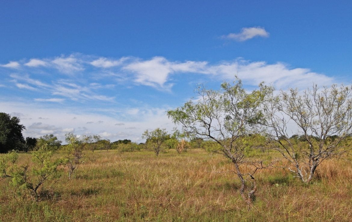 28 acres in Eastland County