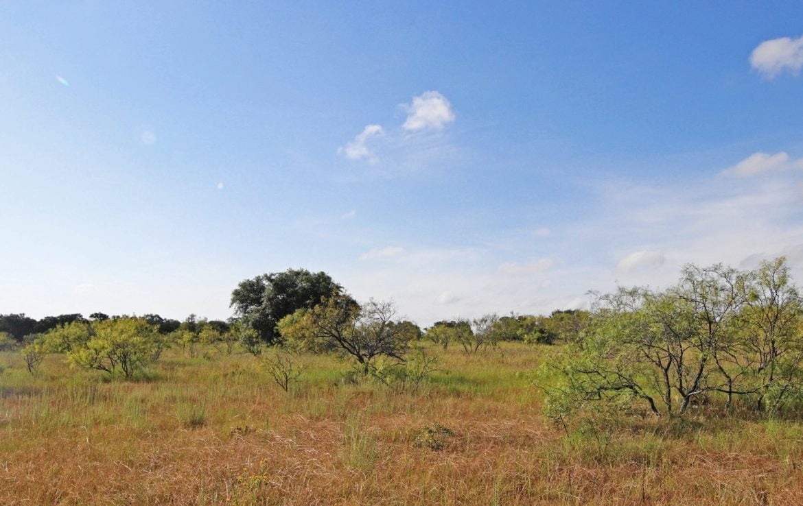 28 acres in Eastland County