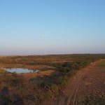 135 acres in Runnels County