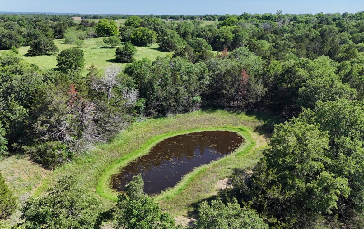 145 acres in Montague County