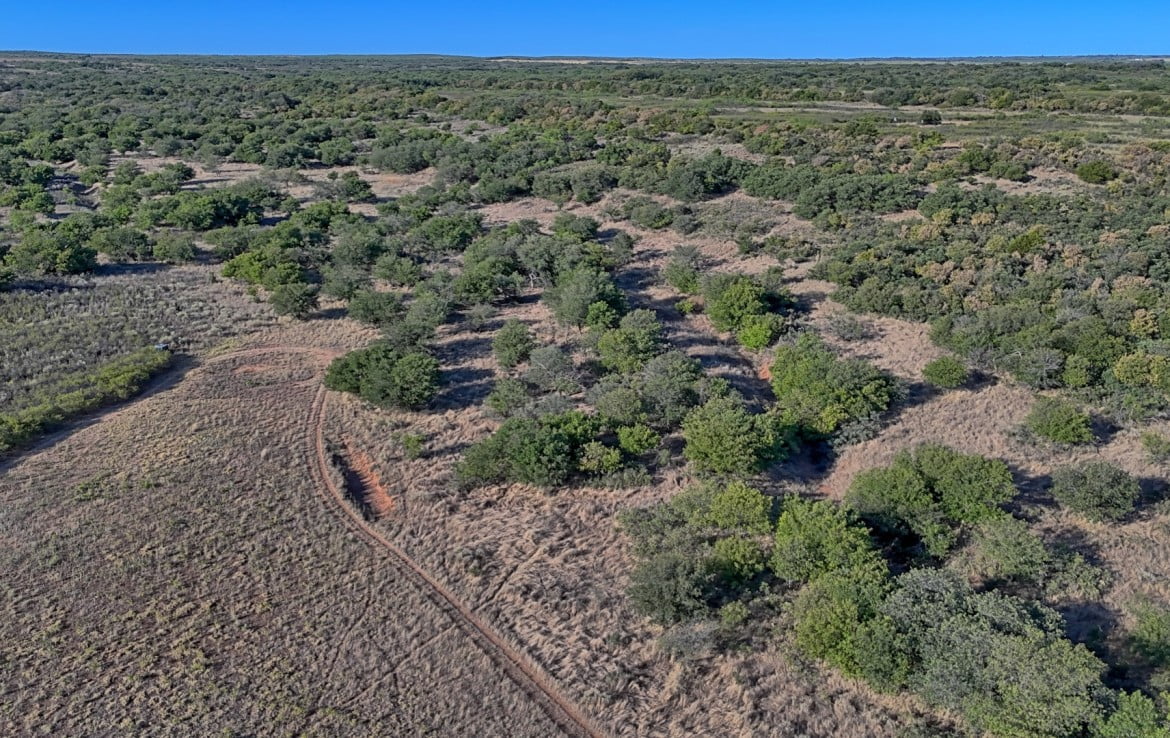 160 Acres in Hardeman County