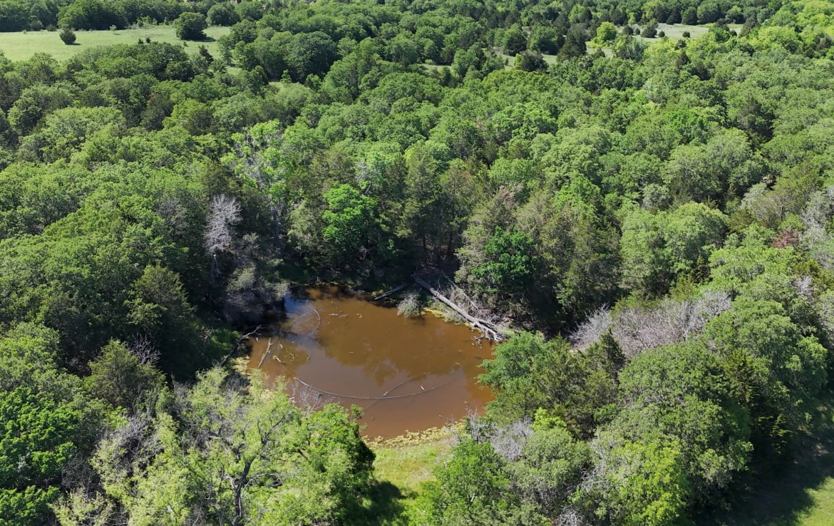 145 acres in Montague County