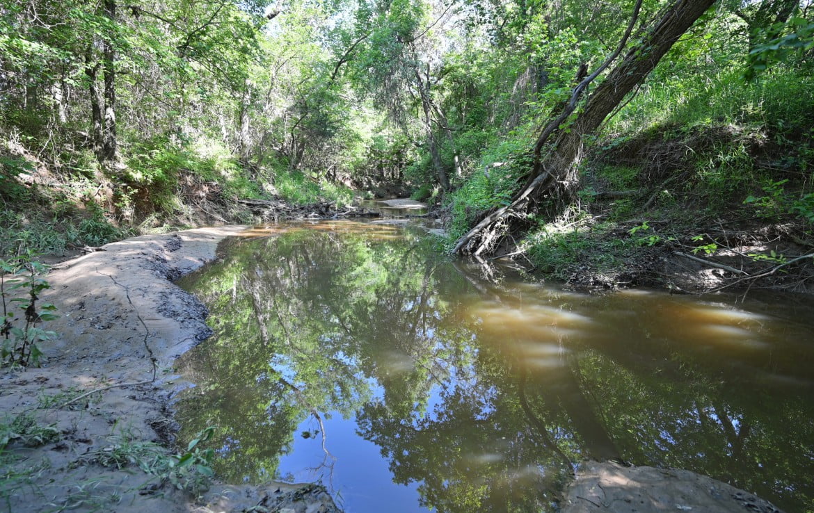 145 acres in Montague County