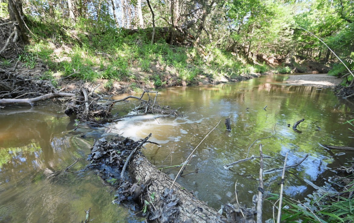 145 acres in Montague County