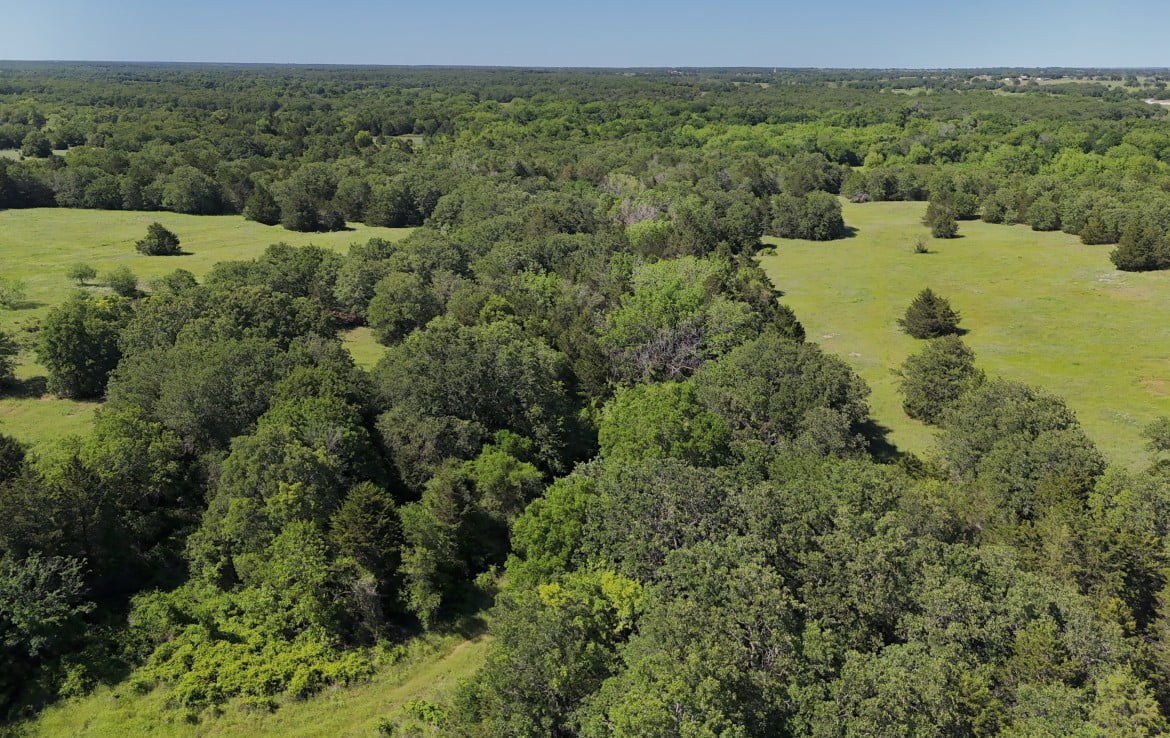 145 acres in Montague County