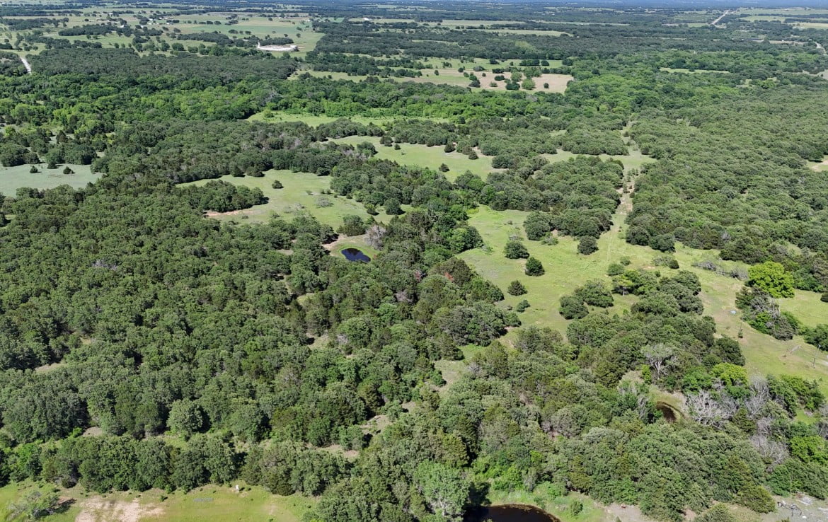 145 acres in Montague County