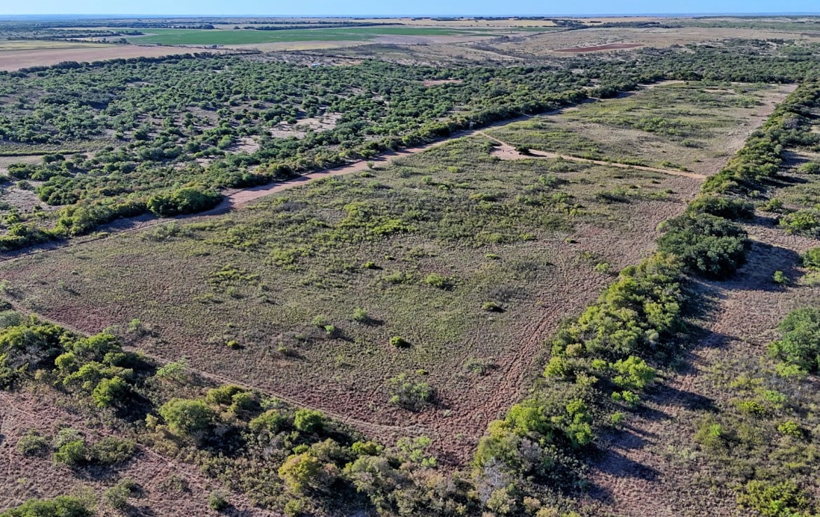 160 Acres in Hardeman County