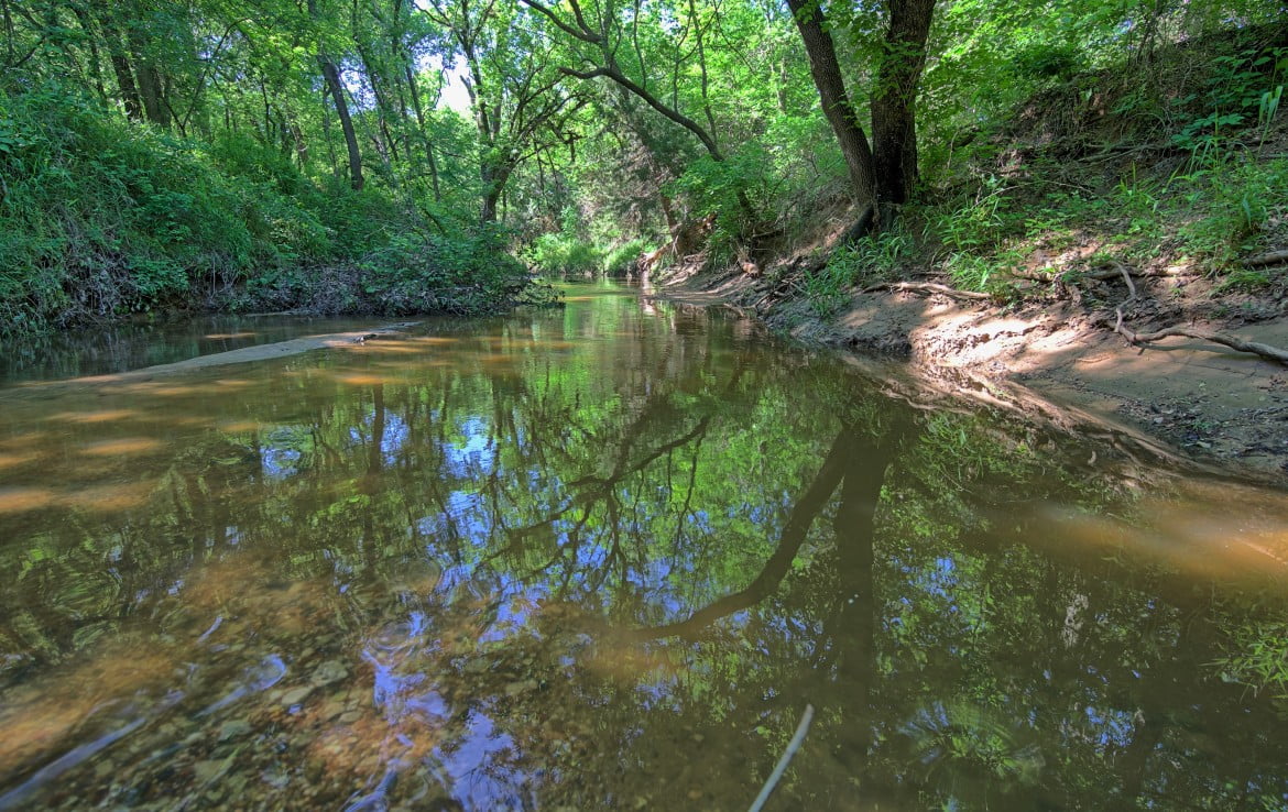 145 acres in Montague County