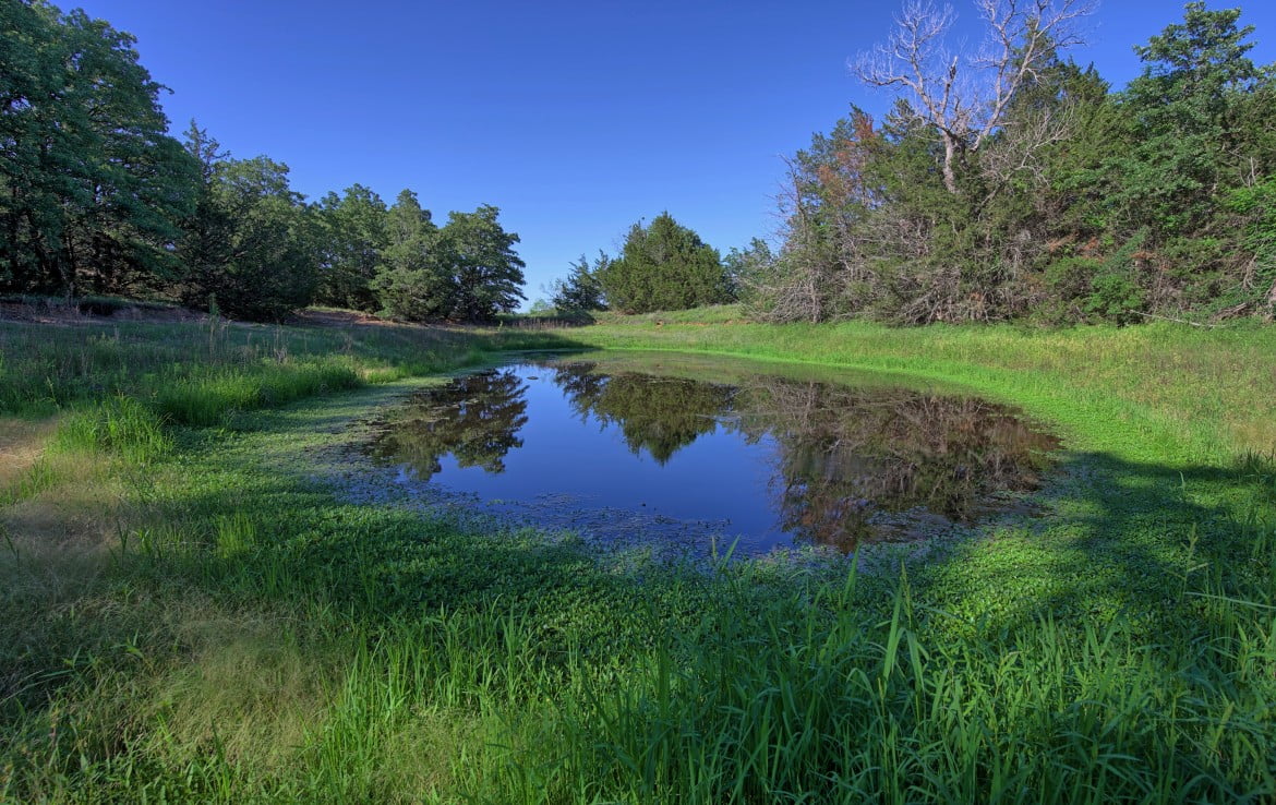 145 acres in Montague County