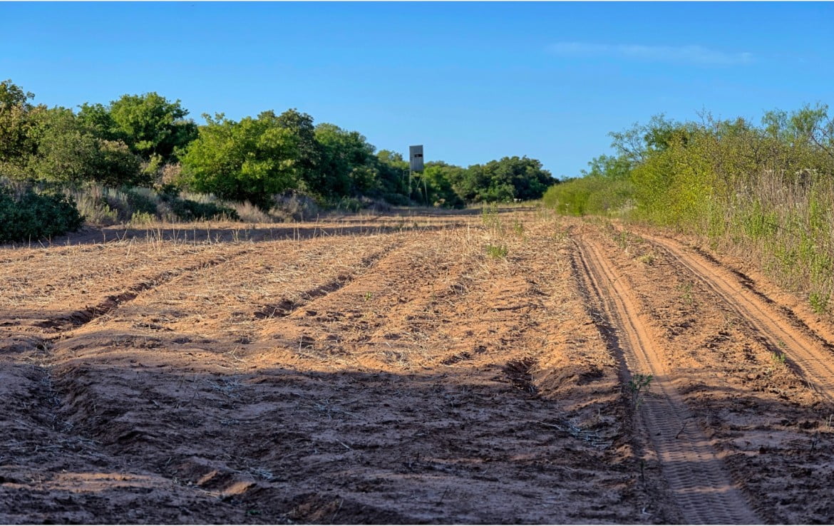 160 Acres in Hardeman County
