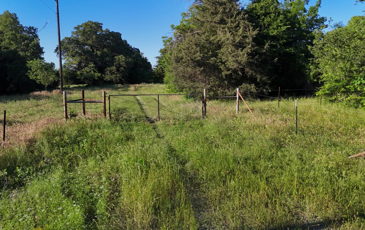 145 acres in Montague County