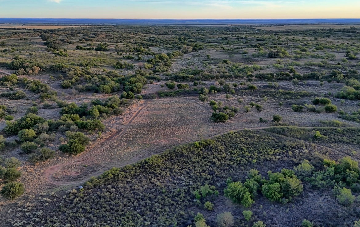 160 Acres in Hardeman County