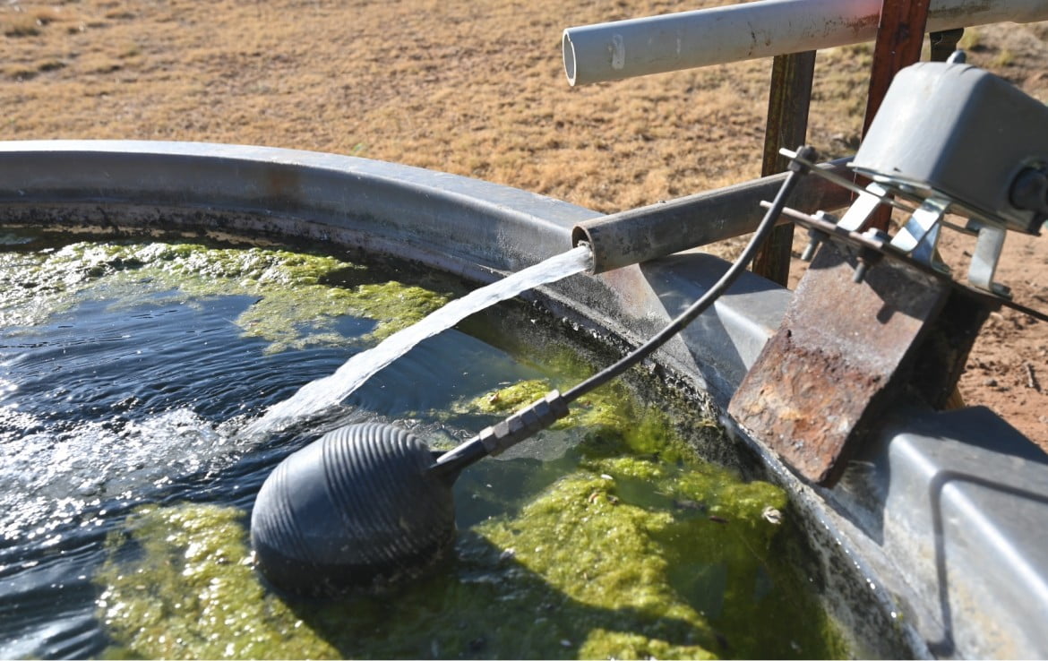 160 Acres in Hardeman County