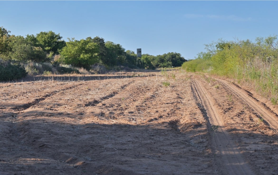 160 Acres in Hardeman County