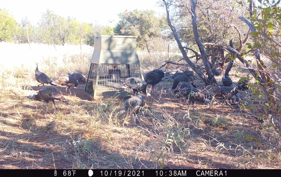 247 acres in Hardeman County