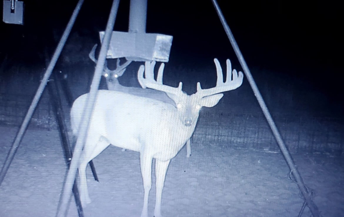 160 Acres in Hardeman County