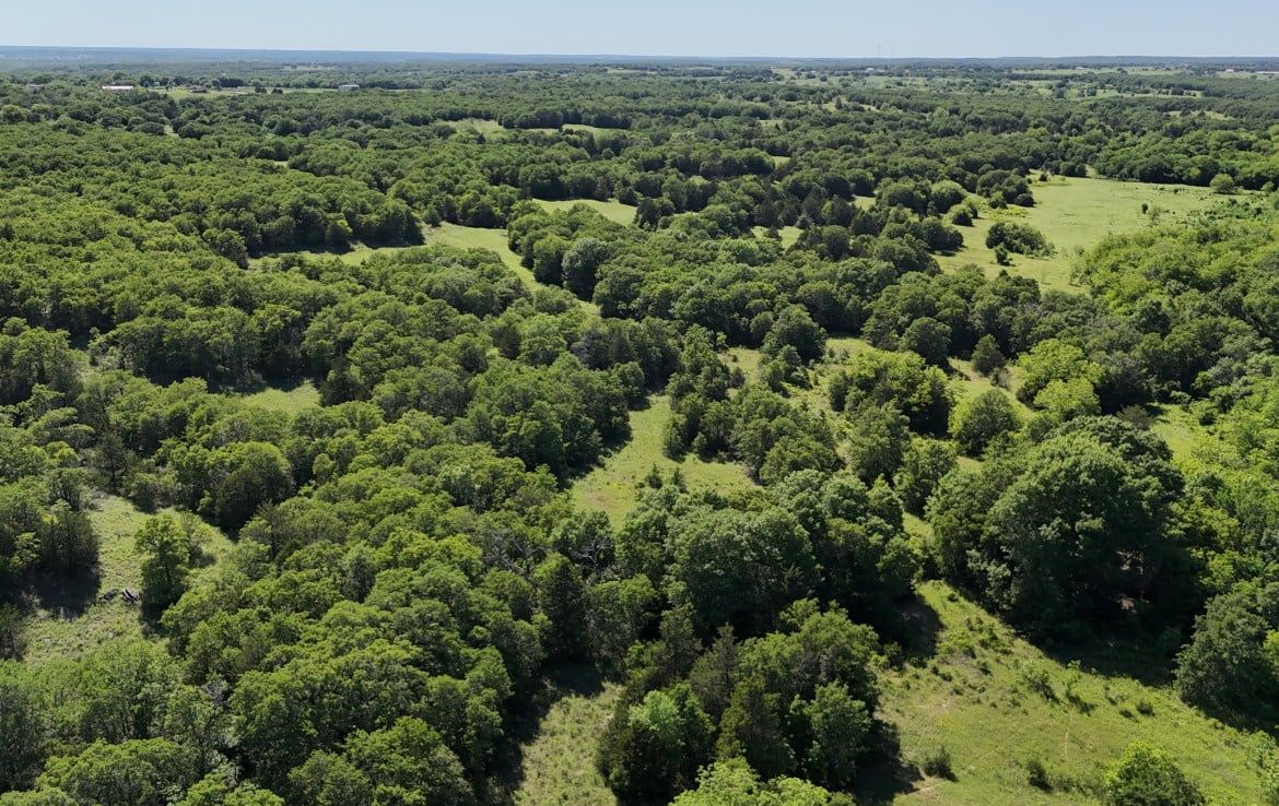 145 acres in Montague County