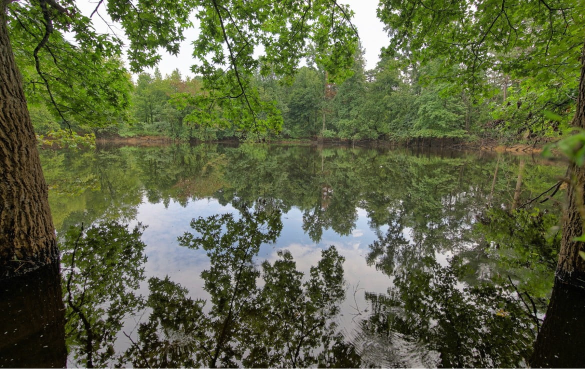 77 acres in Wood County