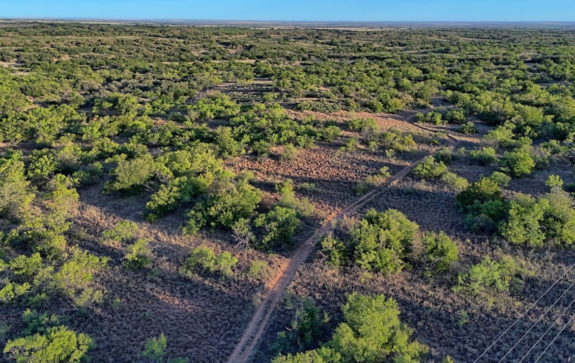 160 Acres in Hardeman County