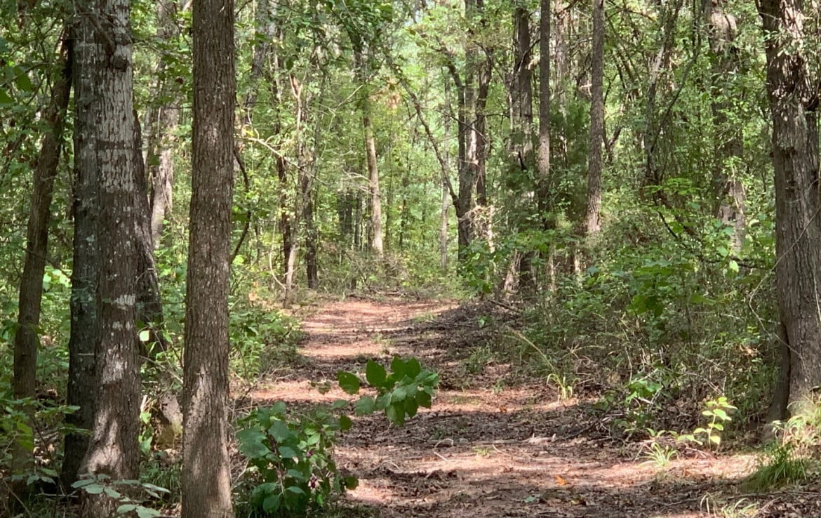 65 acres in Red River County