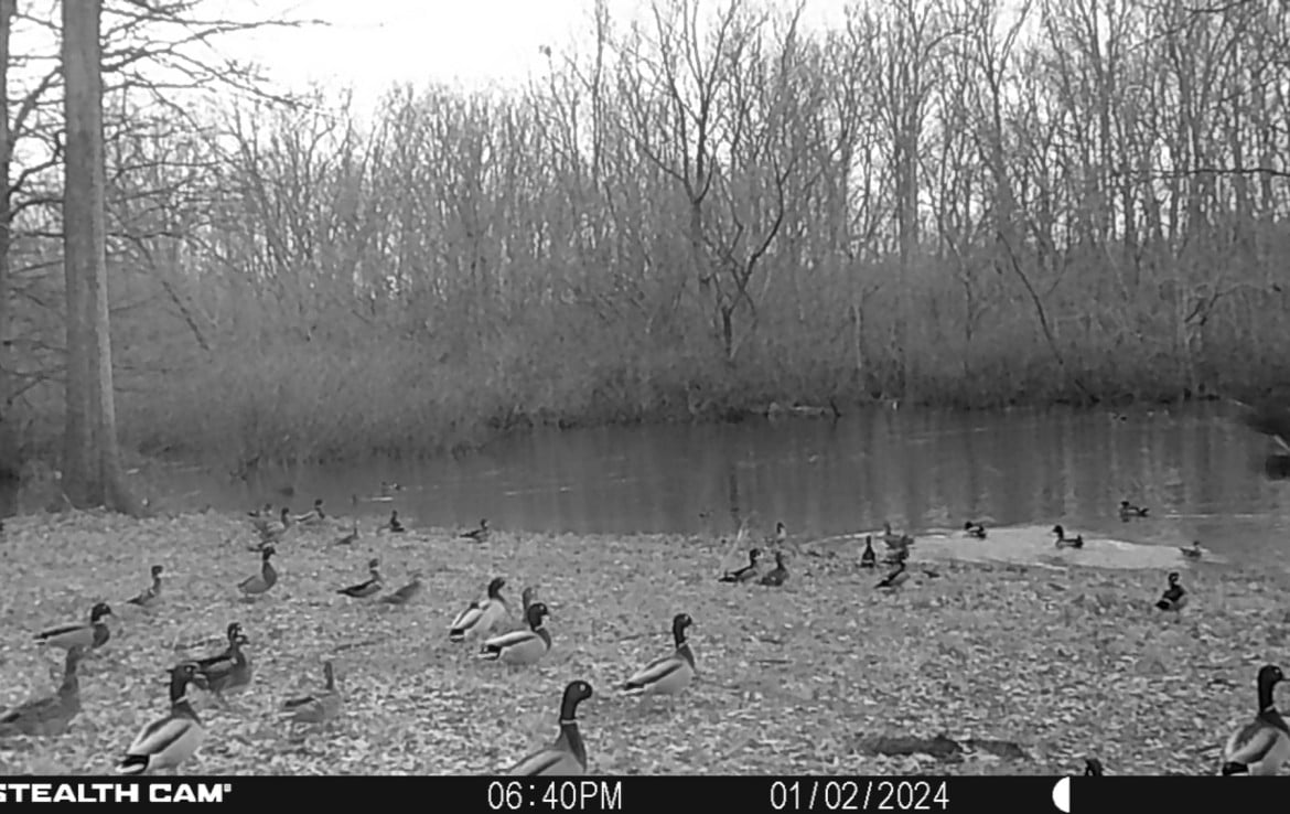 65 acres in Red River County