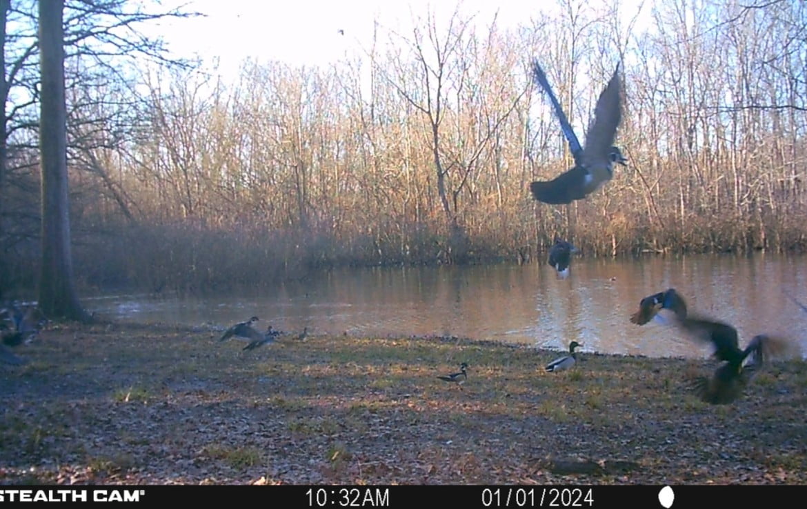 65 acres in Red River County