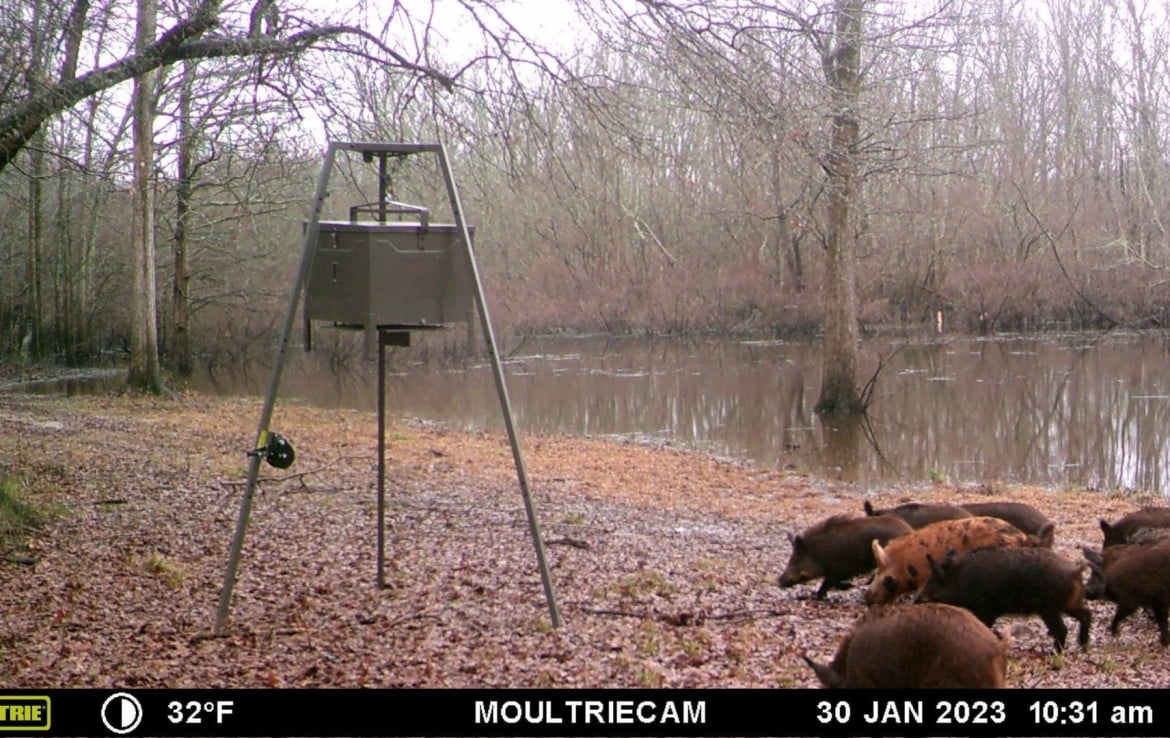 65 acres in Red River County