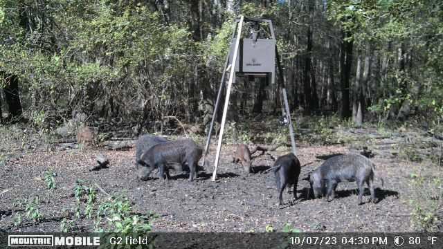 65 acres in Red River County