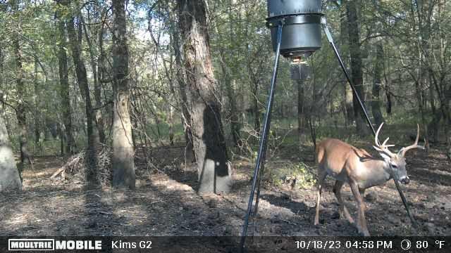 65 acres in Red River County