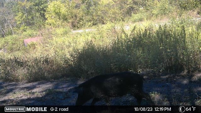 65 acres in Red River County