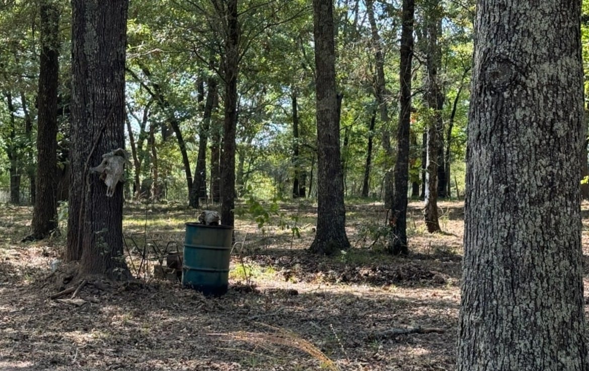 3 acres in Red River County