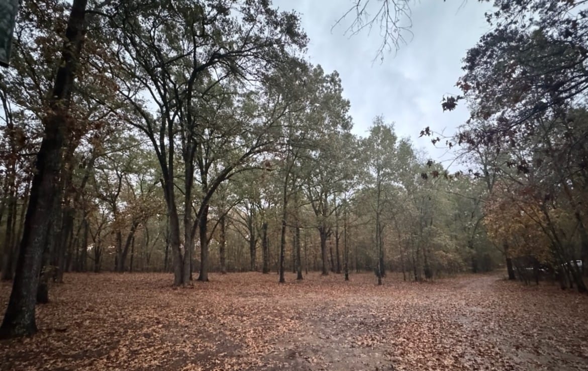 4 acres in Red River County