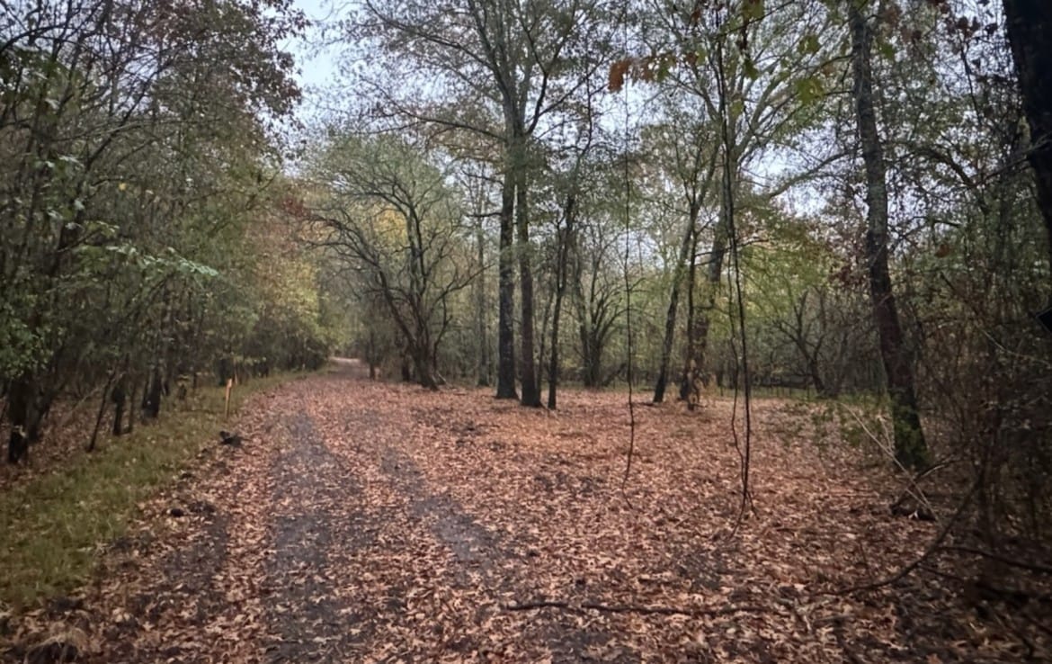 37 acres in Red River County