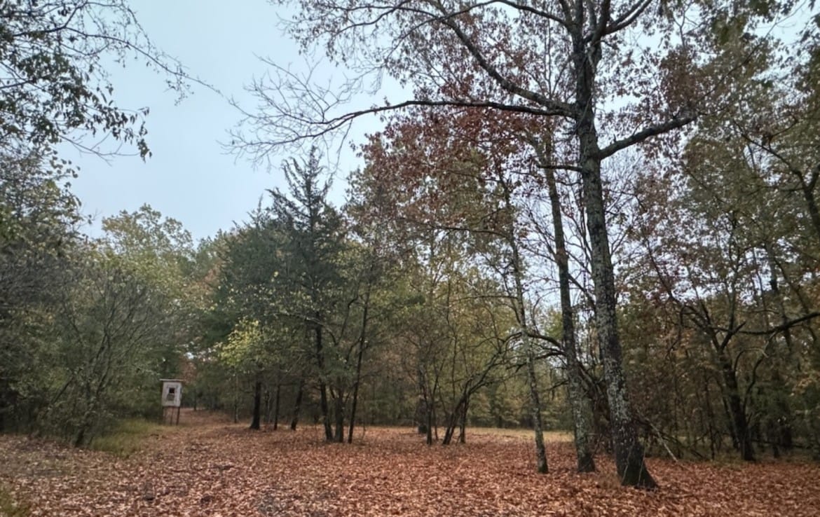 37 acres in Red River County