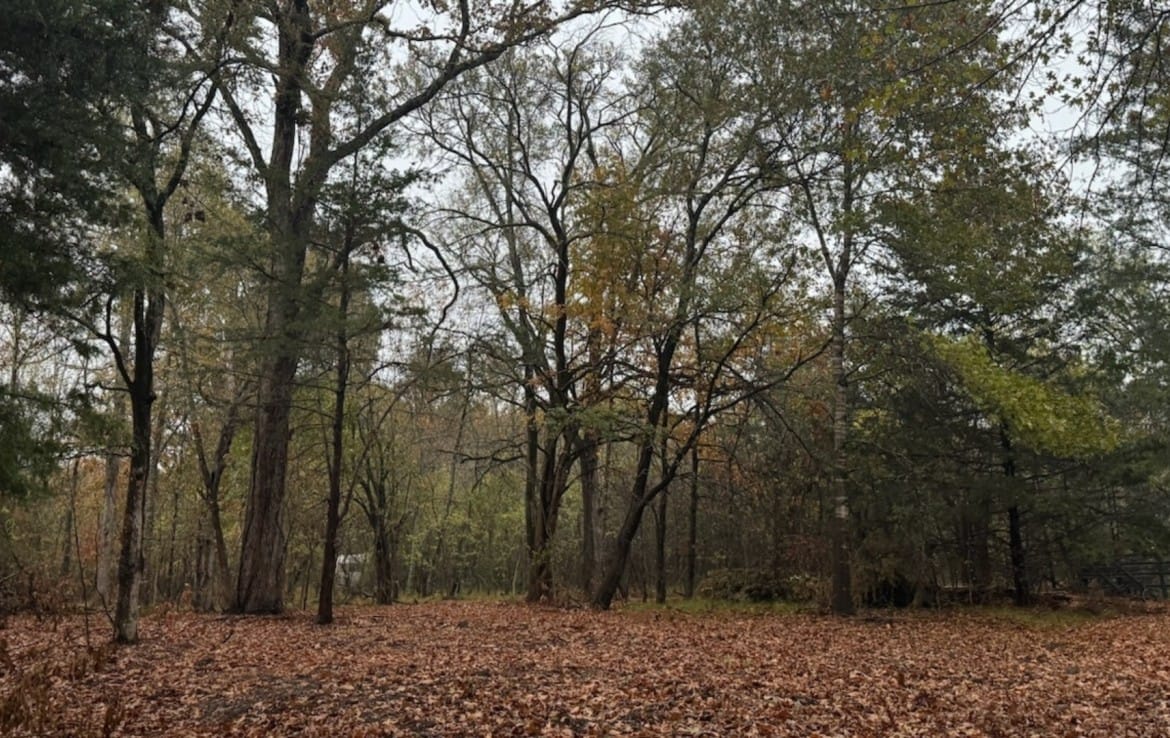 37 acres in Red River County