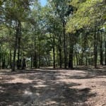 37 acres in Red River County