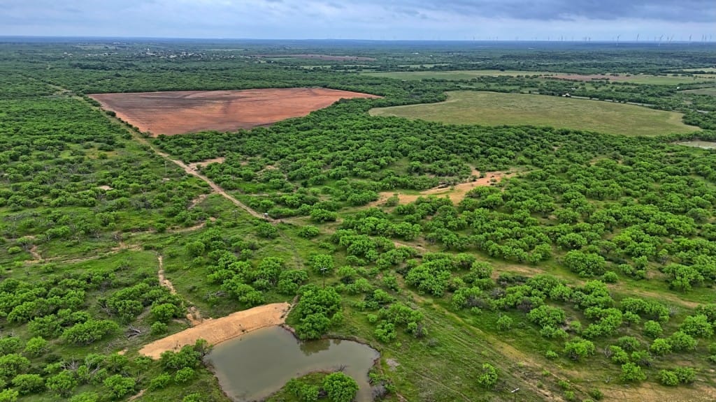 Discover the Beauty of Deep Creek West Ranch in Moran, Texas