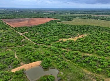 625 acres in Shackelford County