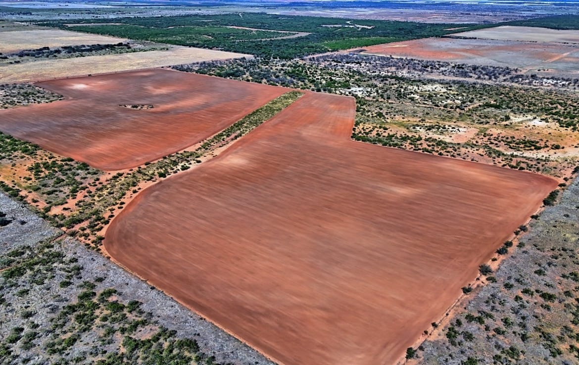 174 acres in Hardeman County